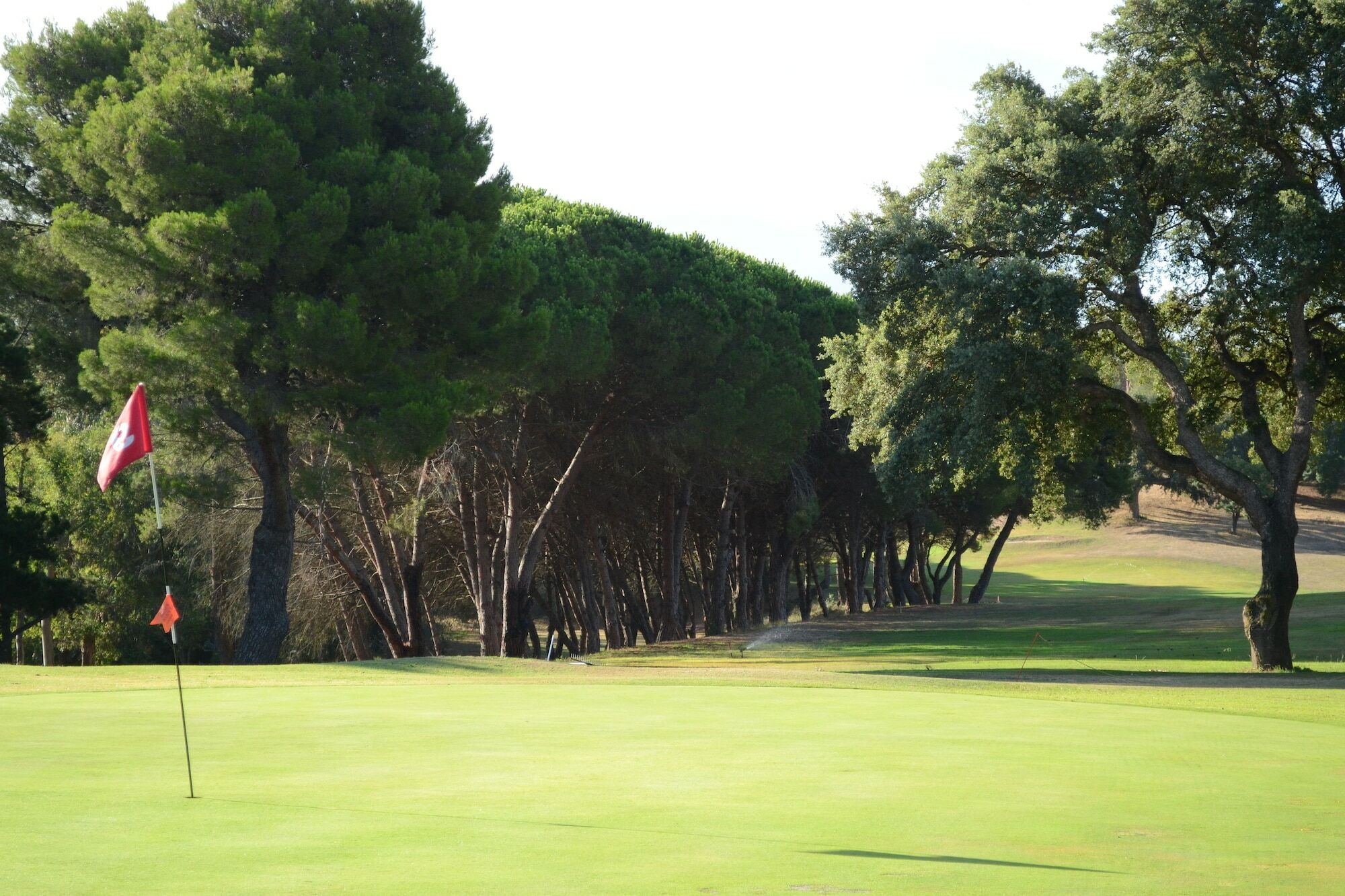 Allegroitalia Elba Golf Portoferraio Eksteriør billede